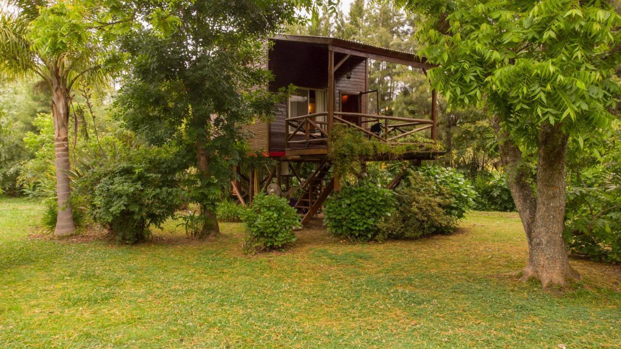 Lodge Ich Tigre